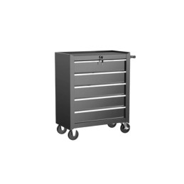 ΕΡΓΑΛΕΙΟΦΟΡΟΣ ΜΕ 5 ΣΥΡΤΑΡΙΑ...